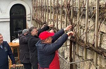 valentinov rez mestne trte praznik vinogradniske tradicije 69916f1f91f84 1771138847