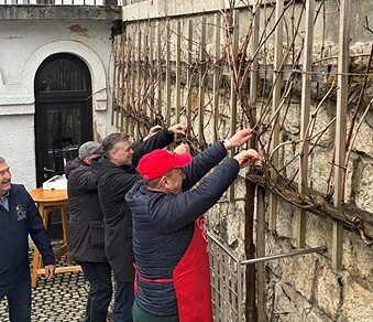 Valentinov rez mestne trte: Praznik vinogradniške tradicije 1 valentinov rez mestne trte praznik vinogradniske tradicije 69916f1f91f84 1771138847