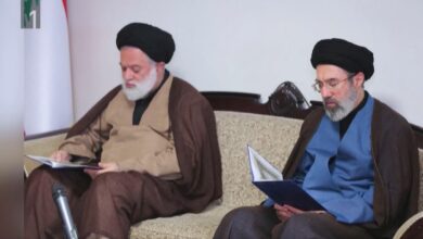 Hamenej sin vir zajem slike rtv slo