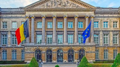 belgija na robu postati narkodrzava resnicnost ali pretiravanje 69b29cd482313 1773313236