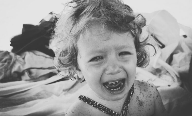 grozljivo dogajanje v sezani sredi ulice napadel deklico 69a9463e7a45d 1772701246