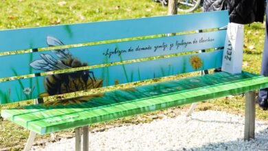 klopi generacij v novi gorici simbol povezovanja skozi umetnost in druzenje 69bd0c9a1548d 1773997210