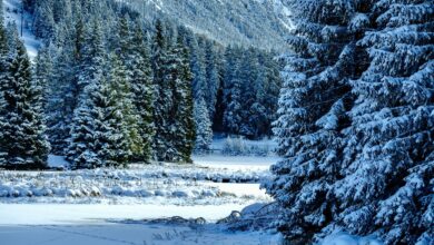 mocan veter v sloveniji prometne nevsecnosti in odkrita streha 69babe1302a3b 1773846035