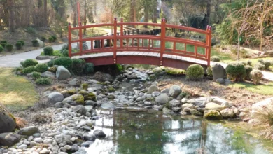 mozirski gaj odpira vrata s cudovito razstavo pomladnega cvetja 69ca73e58b6b8 1774875621