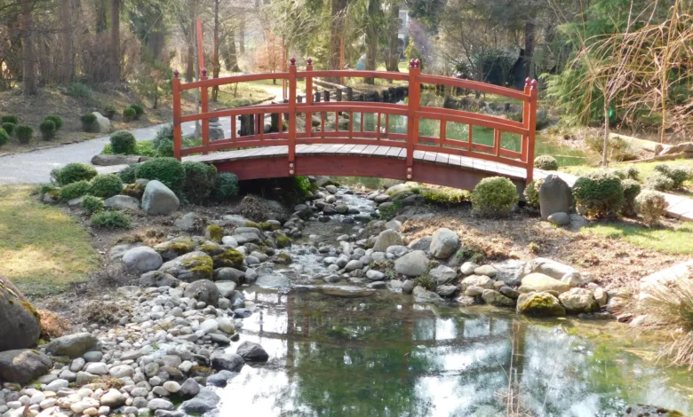 Mozirski gaj odpira vrata s čudovito razstavo pomladnega cvetja 1 mozirski gaj odpira vrata s cudovito razstavo pomladnega cvetja 69ca73e58b6b8 1774875621