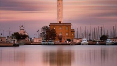 na obali italije nasli redko 400 kilogramsko ribo luno video 69b2d569b2835 1773327721