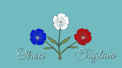 navijaska strast mladih 570 otrok in spremljevalcev iz podravja in pomurja odpravljeni v planico video 69c4e79e1ece7 1774512030