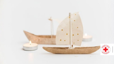 novomeski rdeci kriz zaokrozil obsezno delo s priznanjih 69bec0a21a0f3 1774108834