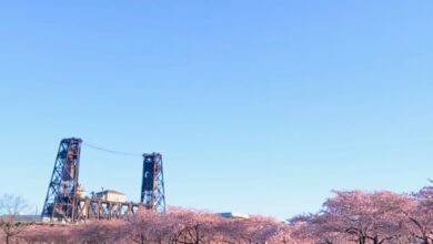 ognjena krogla osvetlila nebo nad portlandom video 69c4f59b824ed 1774515611