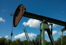 oil