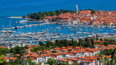 opit in drogiran za miodraga jovica sedemletna zaporna kazen 69a43870e3937 1772370032