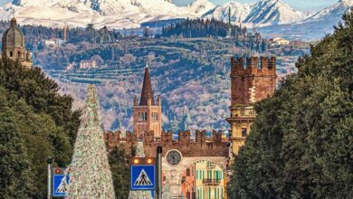 pogumna resevalna akcija volkulja resena iz reke pri veroni video 69a9c4b313f62 1772733619