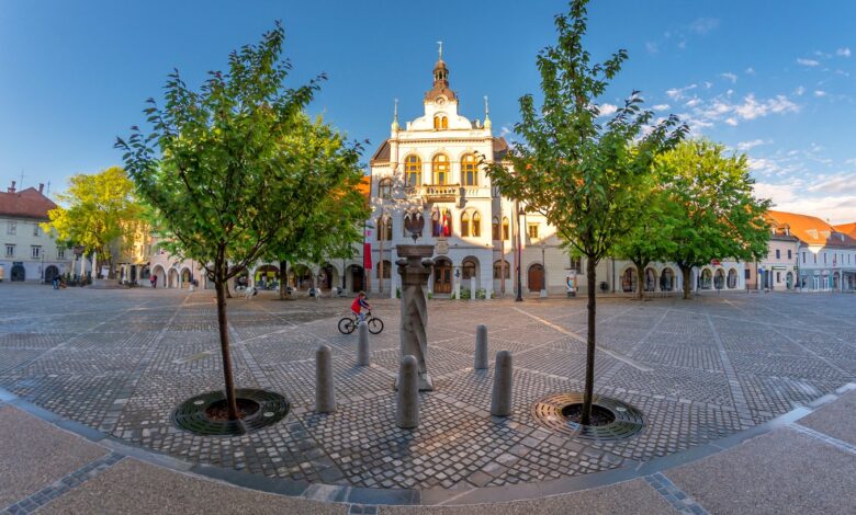 pozabljena polovica novo mesto ozivlja spomin na prezrte zenske ob 8 marcu 69a82d06b2394 1772629254