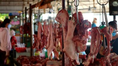 prevara na krozniku skoraj 80 slovenske svinjine v trgovinah prihaja iz tujine 69c66348d0a73 1774609224