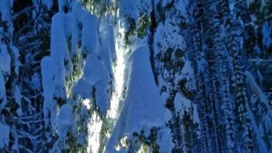 severna slovenija pod udarom mocnega vetra preko 650 poskodovanih objektov 69c6d3d4b6383 1774638036