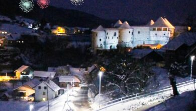 smarnica navdusila na sejmu alpe adria od posmeha do pohval video 69a55fd3599b2 1772445651