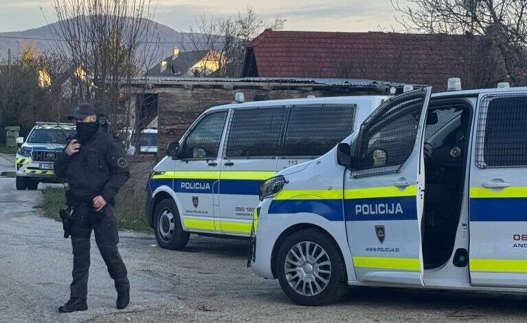 Šokanten dogodek v Brezjah: 13-letni Rom streljal na moškega 1 sokanten dogodek v brezjah 13 letni rom streljal na moskega 69b0166d1ba7e 1773147757