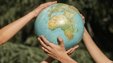 svet scaled e1772352290430