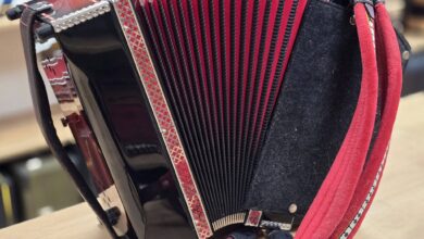 velenje v lovu na guinnessov rekord z vec kot 5 500 harmonikarji video 69ac83e450ff8 1772913636