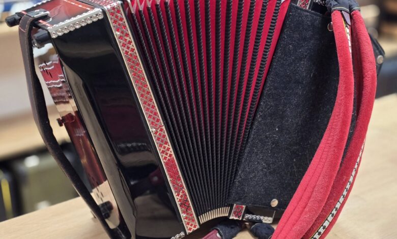 velenje v lovu na guinnessov rekord z vec kot 5 500 harmonikarji video 69ac83e450ff8 1772913636