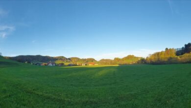 volitve v zetalah 15 000 evrov za rezultat brez presenecenj 69a7e6d2362f7 1772611282