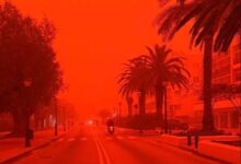 Nevihta Erminio vir X