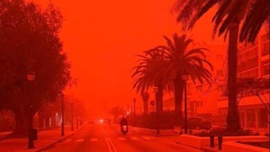 Nevihta Erminio vir X