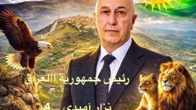 Nizar Amedi strab fb