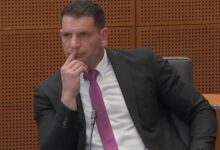 Zoran stevanovic vir fb politika