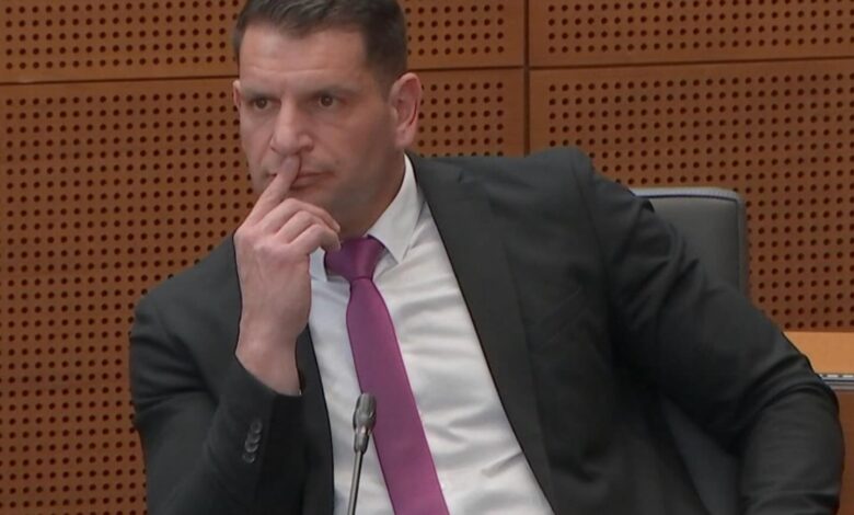 Zoran stevanovic vir fb politika