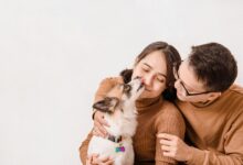 brazilski zakon o delitvi hisnih ljubljenckov prinasa novo upanje za razvezane pare 69cea09e21a87 1775149214