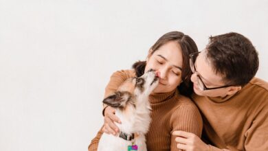 brazilski zakon o delitvi hisnih ljubljenckov prinasa novo upanje za razvezane pare 69cea09e21a87 1775149214