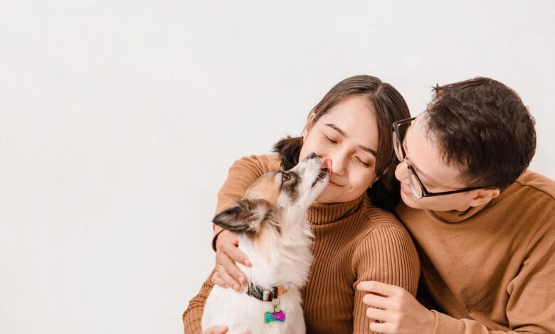 brazilski zakon o delitvi hisnih ljubljenckov prinasa novo upanje za razvezane pare 69cea09e21a87 1775149214