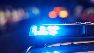 drama v nedelici moski s pusko grozil in sprozil strel 69dd13159ce5f 1776096021