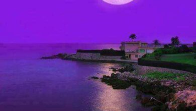 elba skriti otok italije ki ocara bolj kot sardinija 69d60b0a3d39d 1775635210