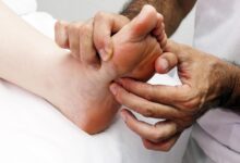 genetska studija razkriva putika ni posledica prehrane 69ef881f468a8 1777305631