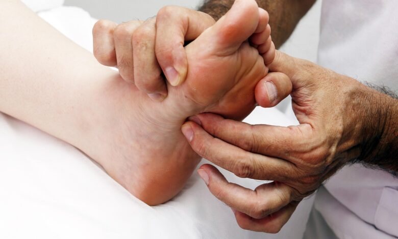 genetska studija razkriva putika ni posledica prehrane 69ef881f468a8 1777305631