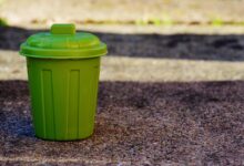 globalna kriza zavrzene hrane grozljive stevilke in nuja po spremembah 69eb230e4cc92 1777017614