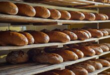 golobova vlada podprla znizanje ddv na osnovna zivila 69f0f5c131446 1777399233