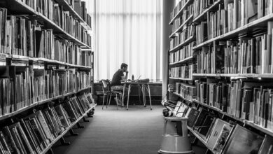 gorica krepi univerzitetne programe z vecjo financno podporo 69f30c218e7d6 1777536033