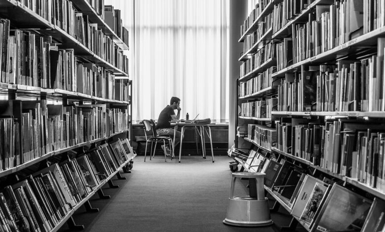 gorica krepi univerzitetne programe z vecjo financno podporo 69f30c218e7d6 1777536033