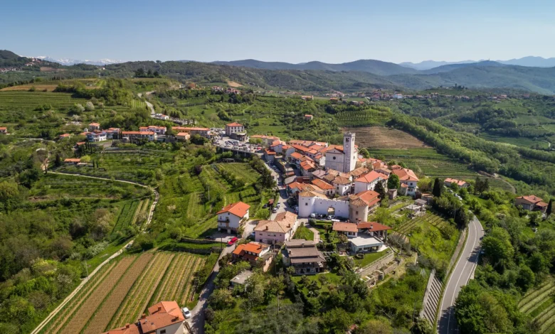 gosenice sovk pustosijo vinograde v brdih kako jih ustaviti 69e6316b05756 1776693611