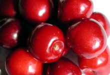 inovativni pristopi evrosada za trajnostni razvoj podezelja foto 69e4dfff401f6 1776607231