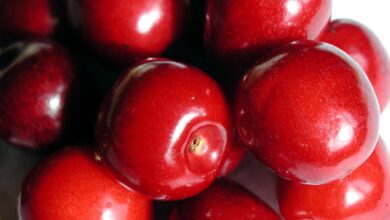 inovativni pristopi evrosada za trajnostni razvoj podezelja foto 69e4dfff401f6 1776607231