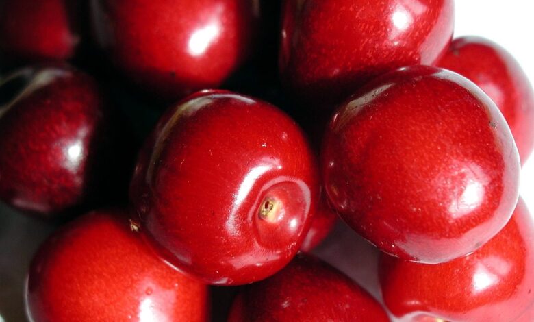 inovativni pristopi evrosada za trajnostni razvoj podezelja foto 69e4dfff401f6 1776607231