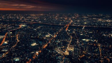 kip v aucklandu nova napetost med japonsko in novo zelandijo 69da45e40c0ac 1775912420