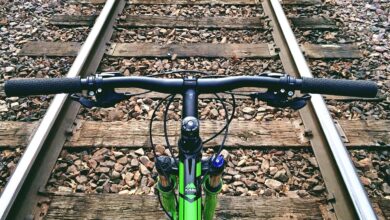 kolesarsko dozivetje na dolenjskem zdruzuje 12 obcin na 200 km progi 69e5c0fdbbe9d 1776664829