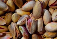 lupine pistacij naravni cudez za zascito in drenazo vrta 69e3805fe6e37 1776517215