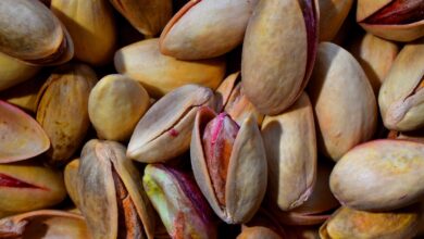 lupine pistacij naravni cudez za zascito in drenazo vrta 69e3805fe6e37 1776517215