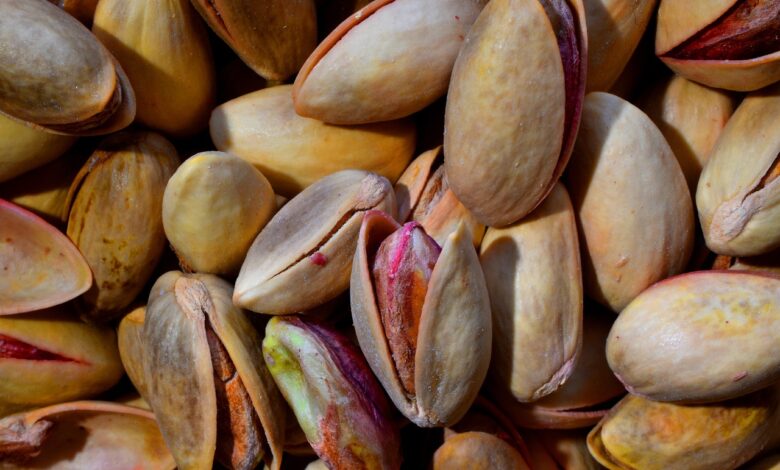 lupine pistacij naravni cudez za zascito in drenazo vrta 69e3805fe6e37 1776517215